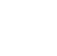 SHD Logo